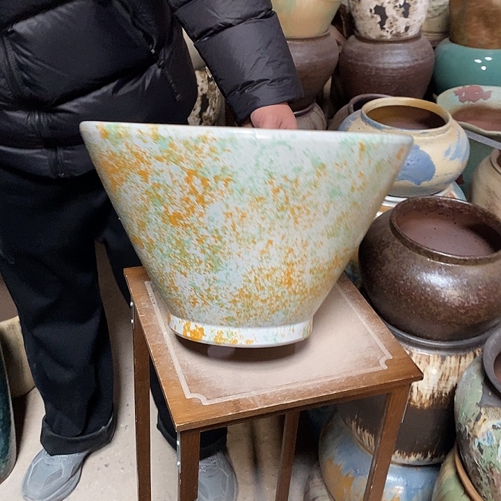 口36高度23柠檬黄…………