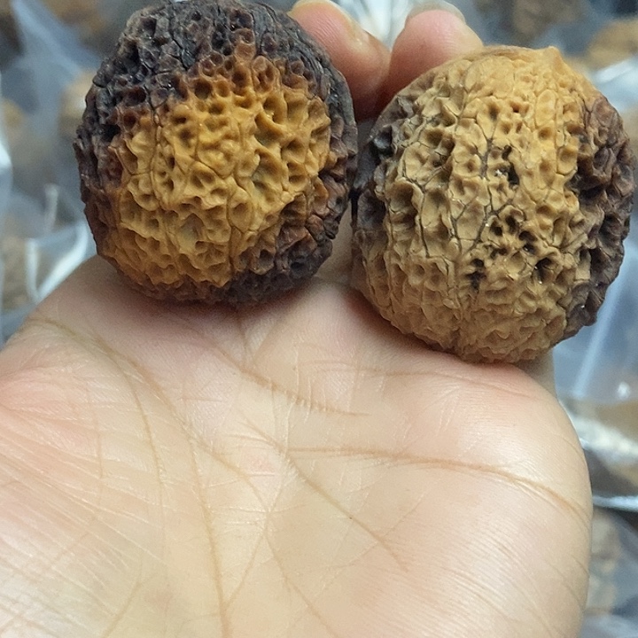 文玩核桃把件云南铁核桃基地10