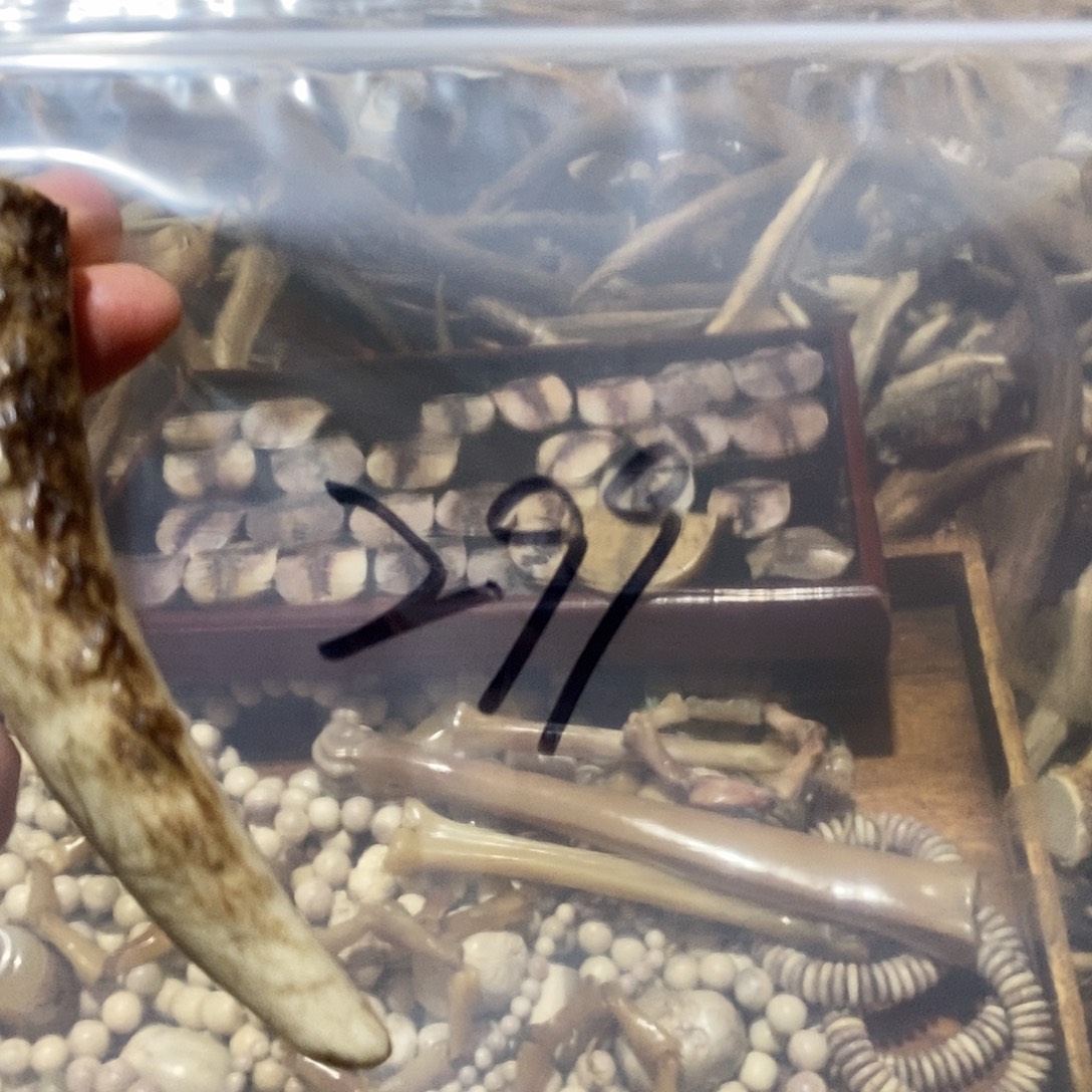 星***念非金属鹿角鹿角鹿角