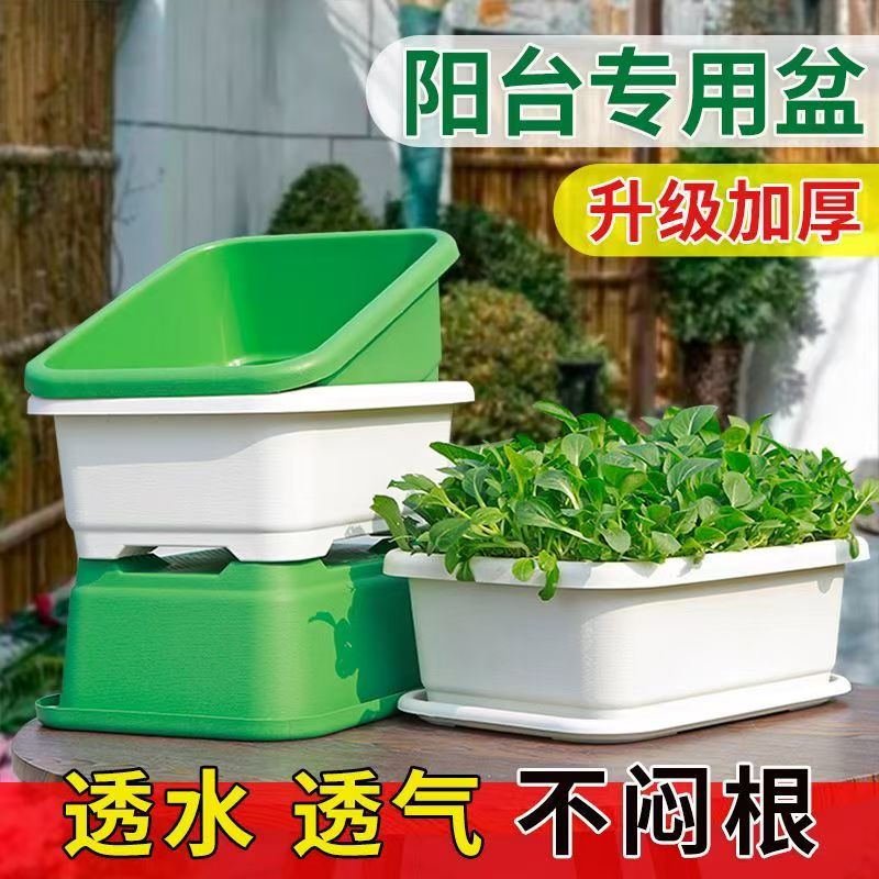 DL种植专用盆种植大绿盆种植小绿盆家庭阳台种植盆