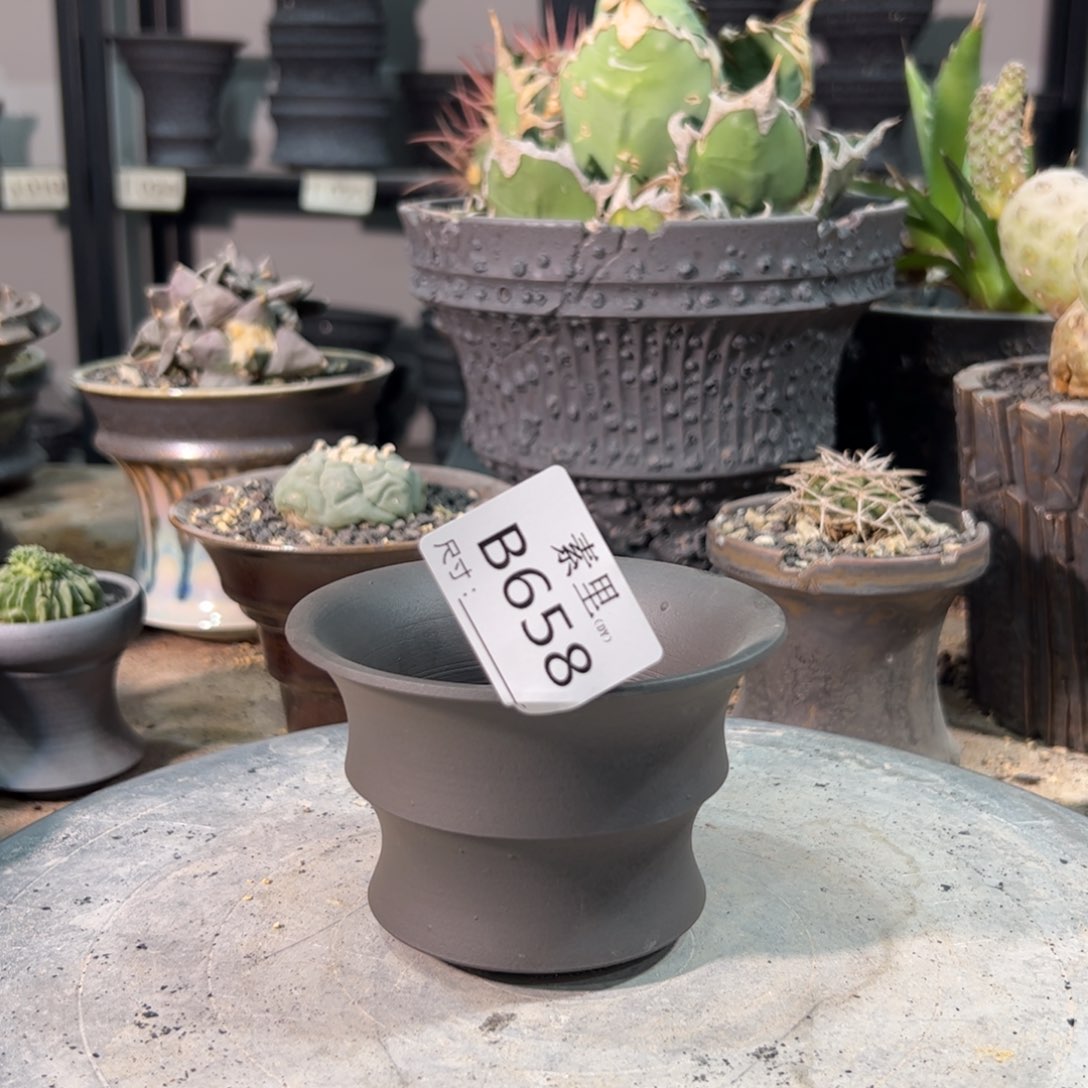 景德镇素里手工内口10.3高7