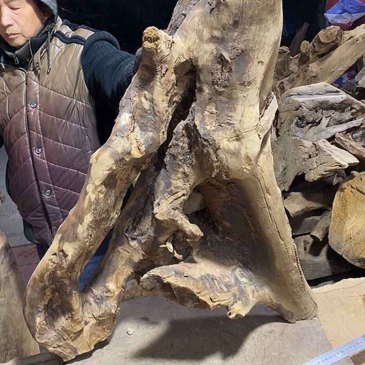 乌木类一**.金丝楠木小叶