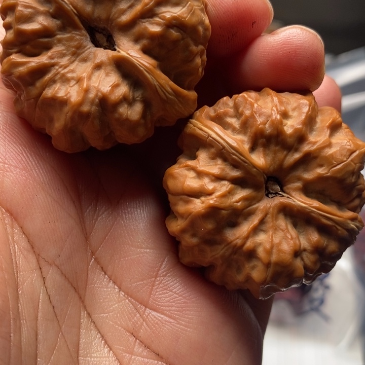 核桃手串/手链朱***爸蛤蟆