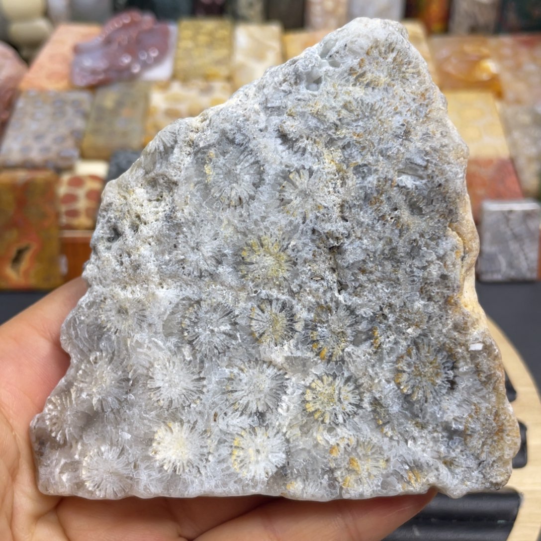 硅化玉未镶嵌颈饰k62