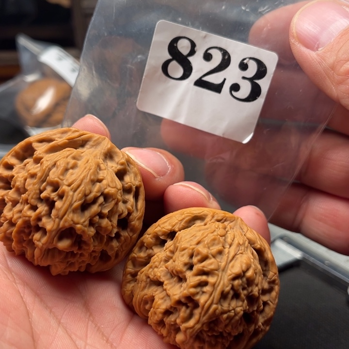 核桃45球疆1111111111