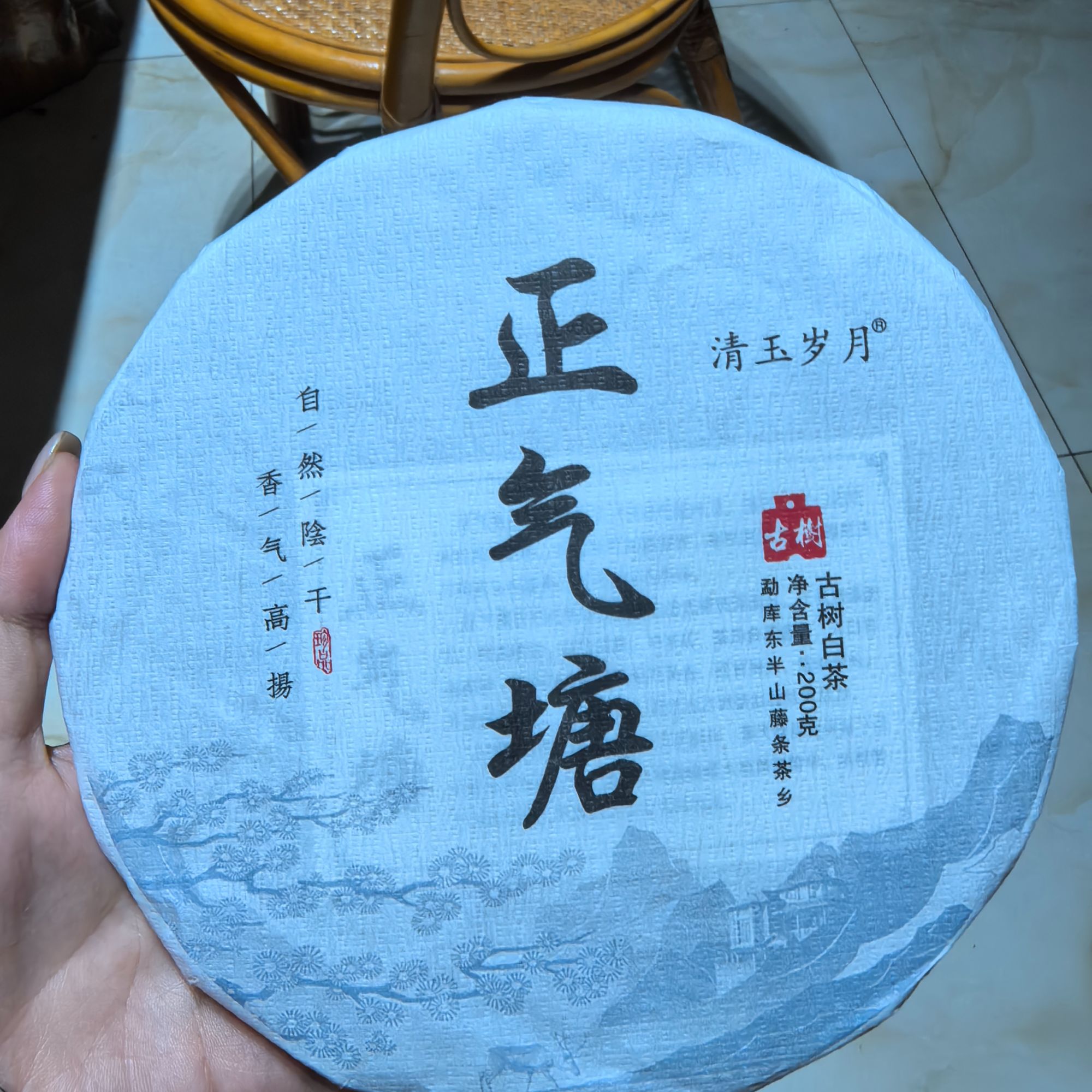 《懿仓号严选》2021年正气塘200g白茶