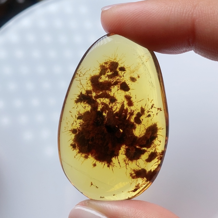 【闪购商品】植物珀颈饰未镶嵌玻璃底藻类植物珀水滴