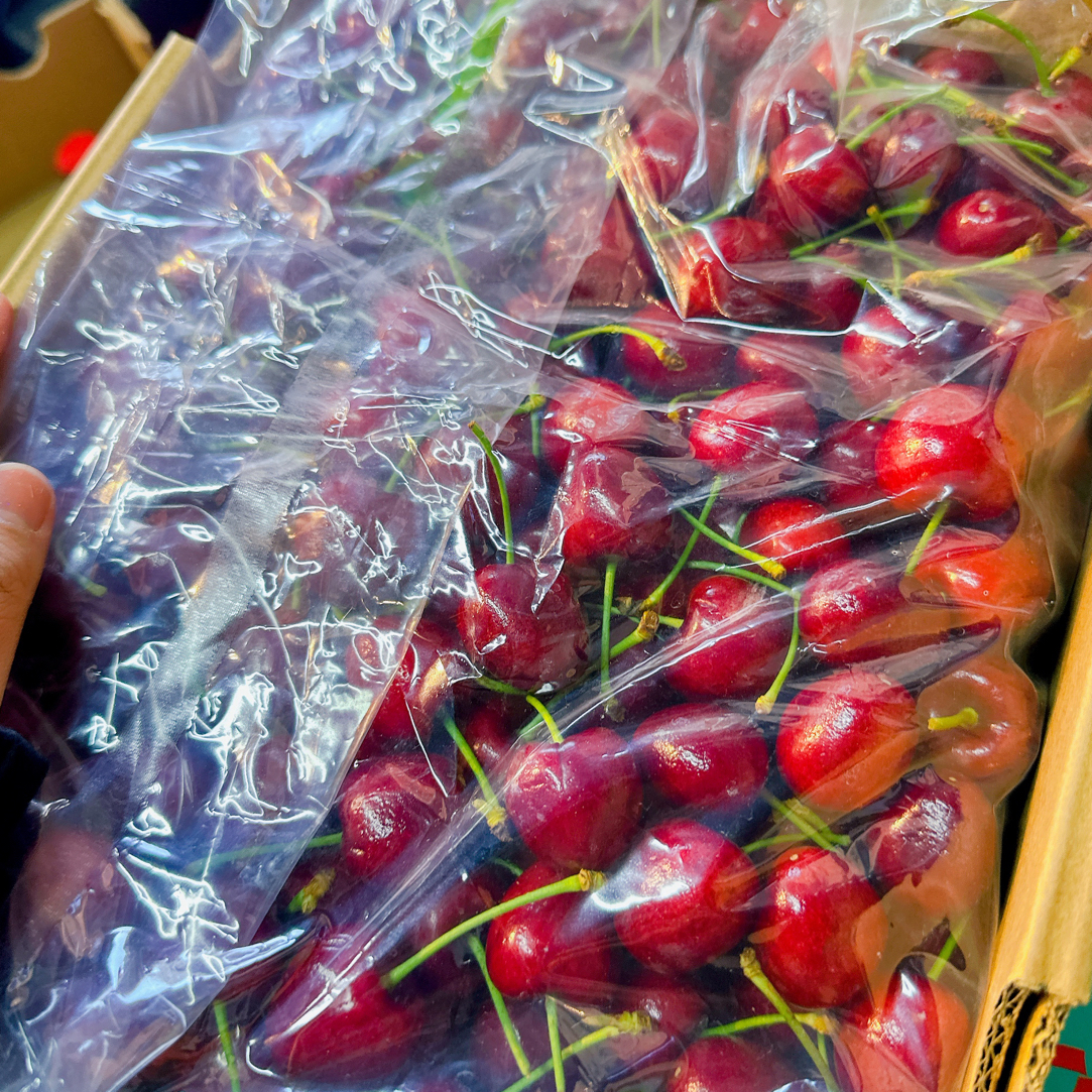 智利桑提那车厘子，J，5斤，海运桑提那智利智利