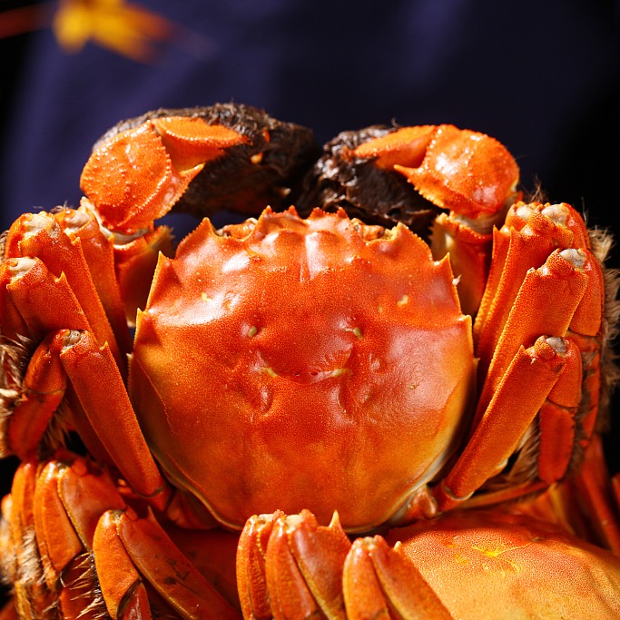 【活蟹】精挑大闸蟹公6.0-5.7两母4.0-3.7两共6/10只装鲜活冷链MM2