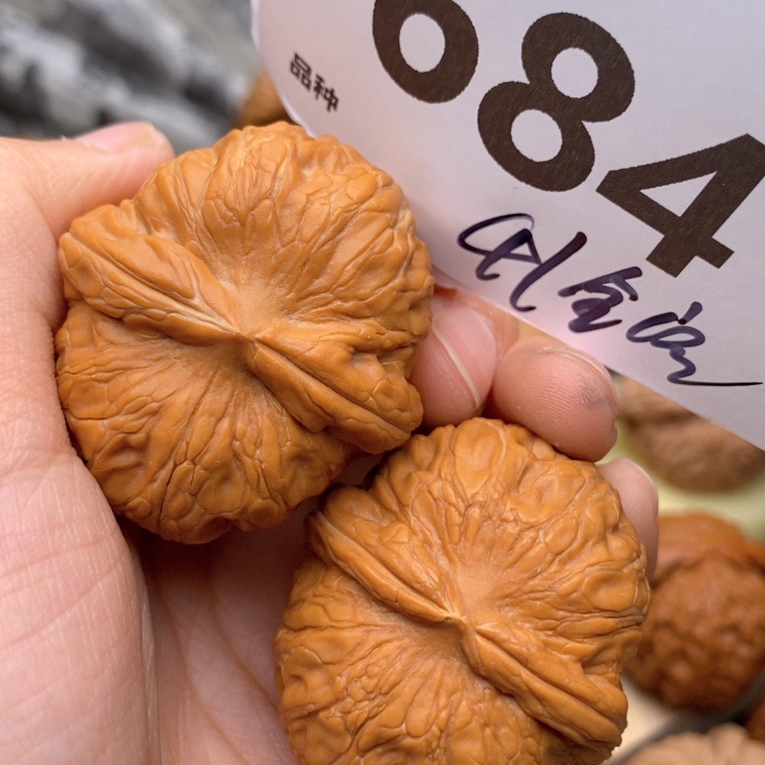 文玩核桃把件684号41全包
