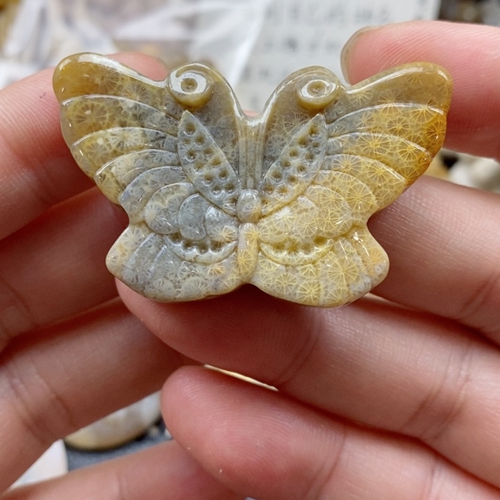 硅化珊瑚（珊瑚玉）颈饰未镶嵌