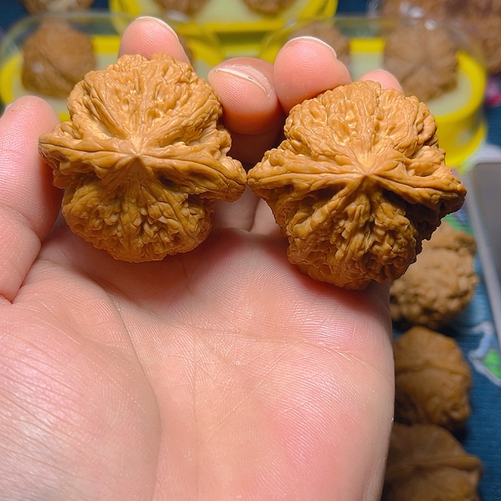 文玩核桃吊坠大粗筋