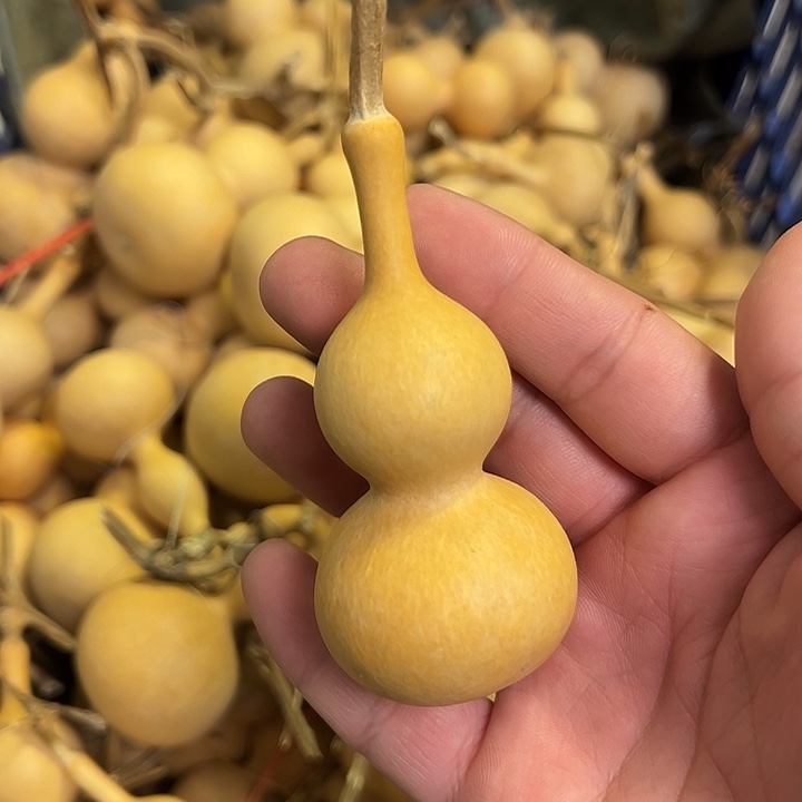 往***风有机玻璃蚂蚁蚂蚁蚂蚁蚂蚁