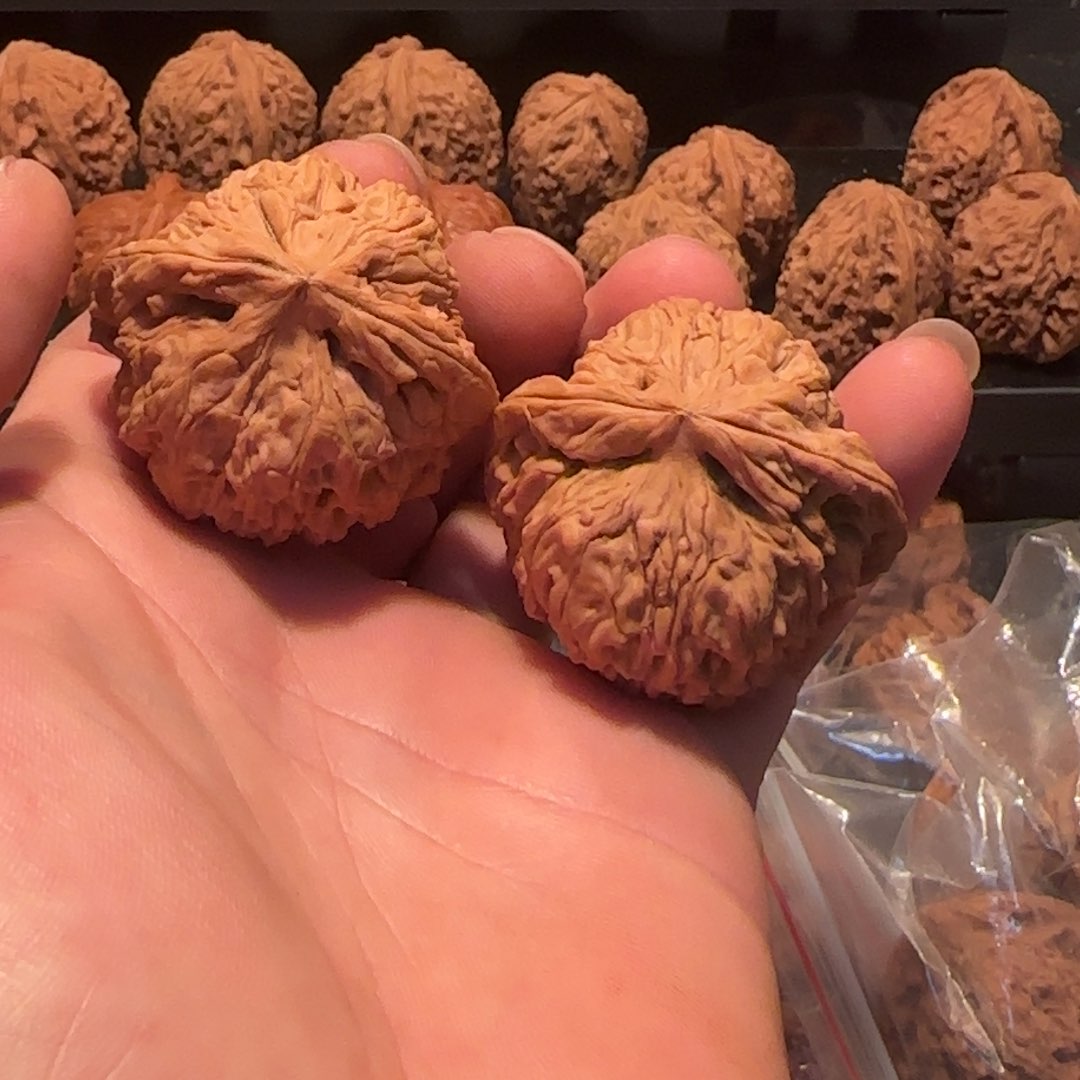 桃核把件ᴶ*ᵃ涿鹿南疆石44