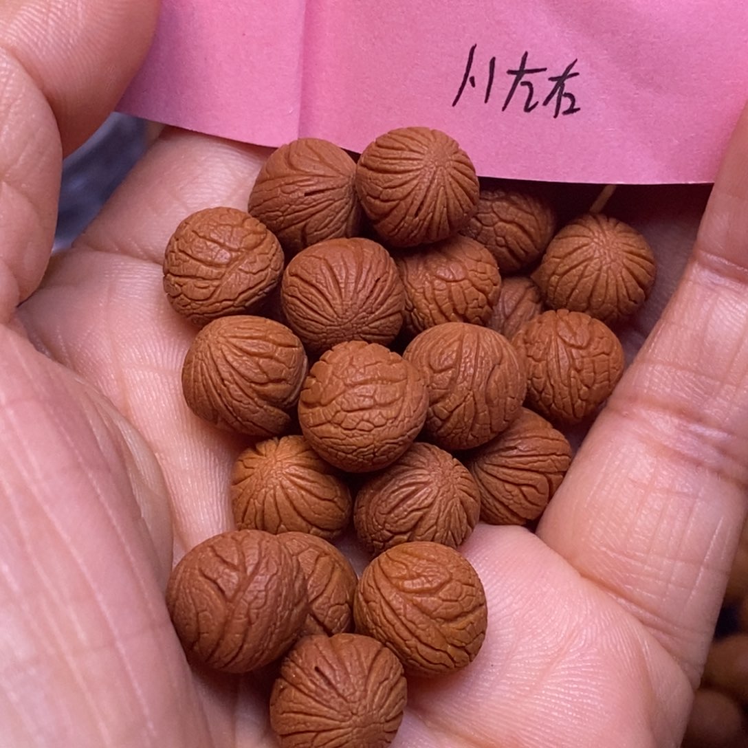 秦岭龙纹桃核21颗