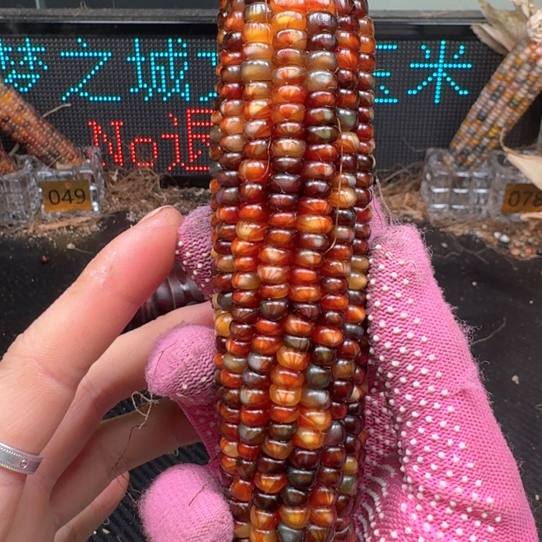 柏香籽/百香籽吊坠雾