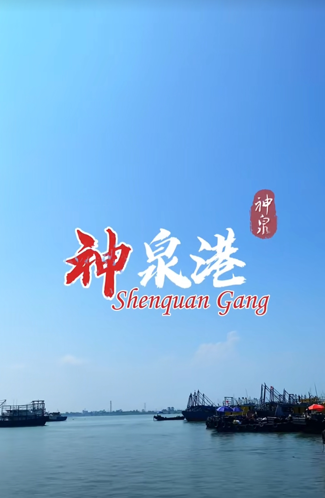 惠来神泉港 多种杂鱼混搭套餐斤去除内脏净重400克没去除是1斤。