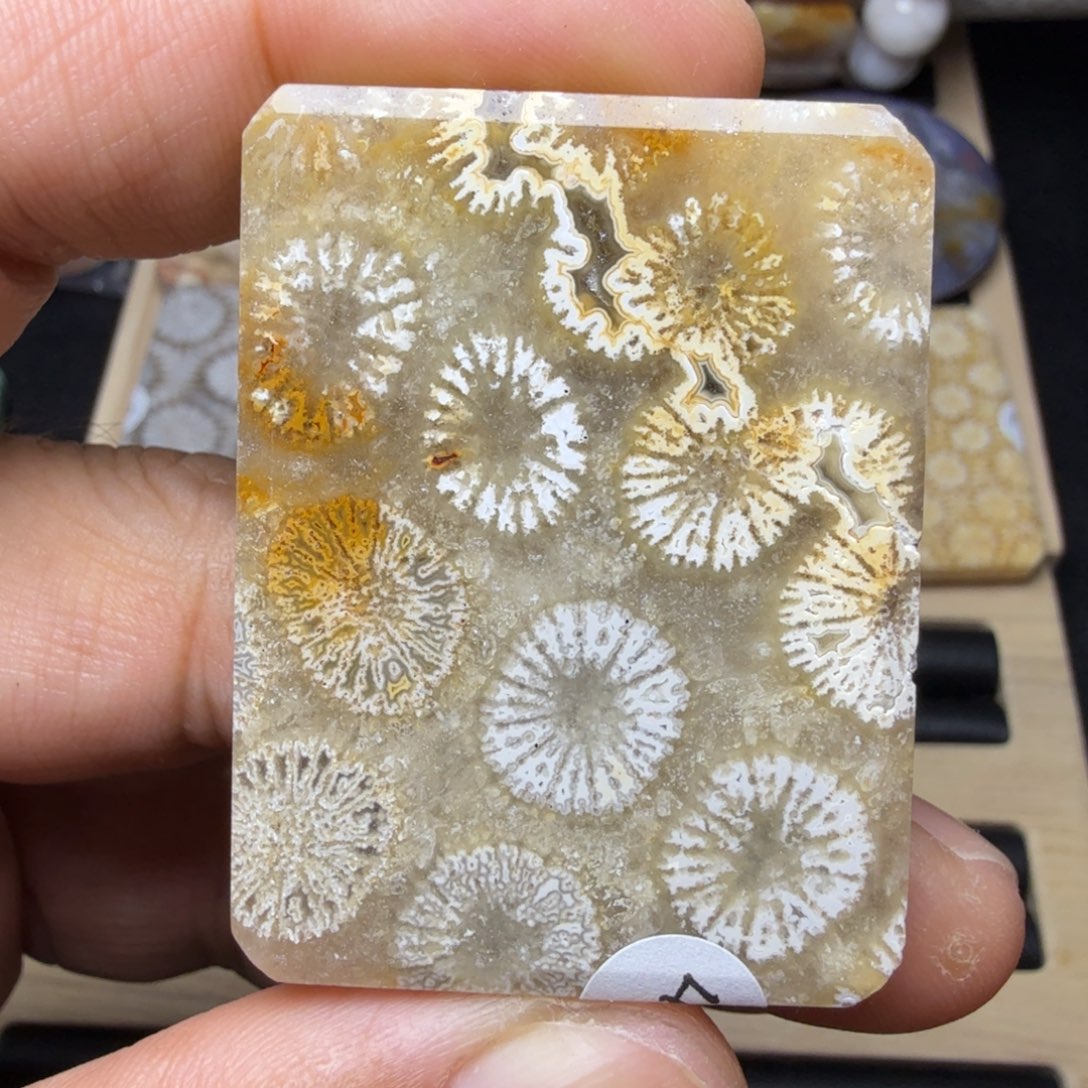 硅化玉未镶嵌纯天然色有机玉石保真色