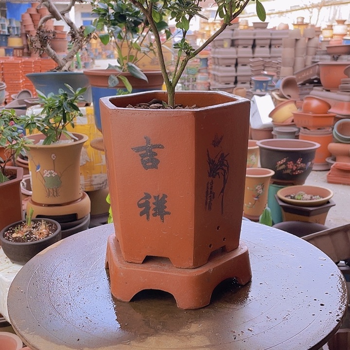 紫砂宜兴紫砂红如意加拖小六方