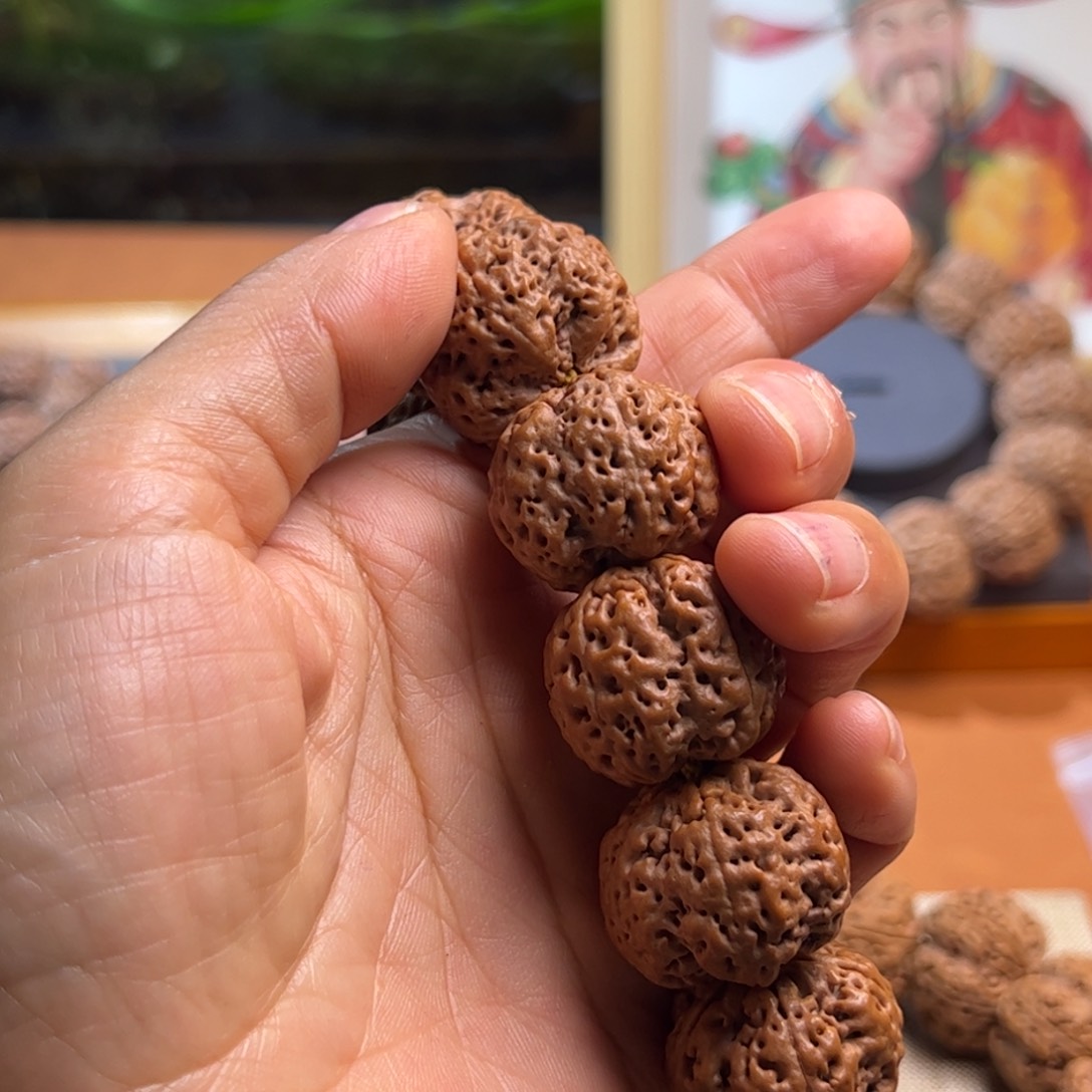 金刚菩提手串左****爱24龙王大金刚菩提手串