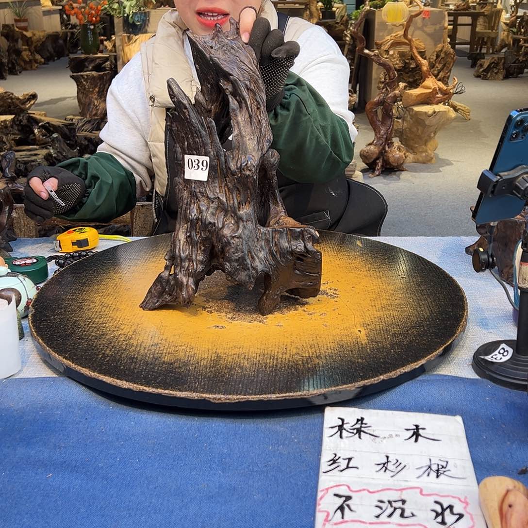 大***车香榧木039fvhjkjnnmjhgghjjjhhb