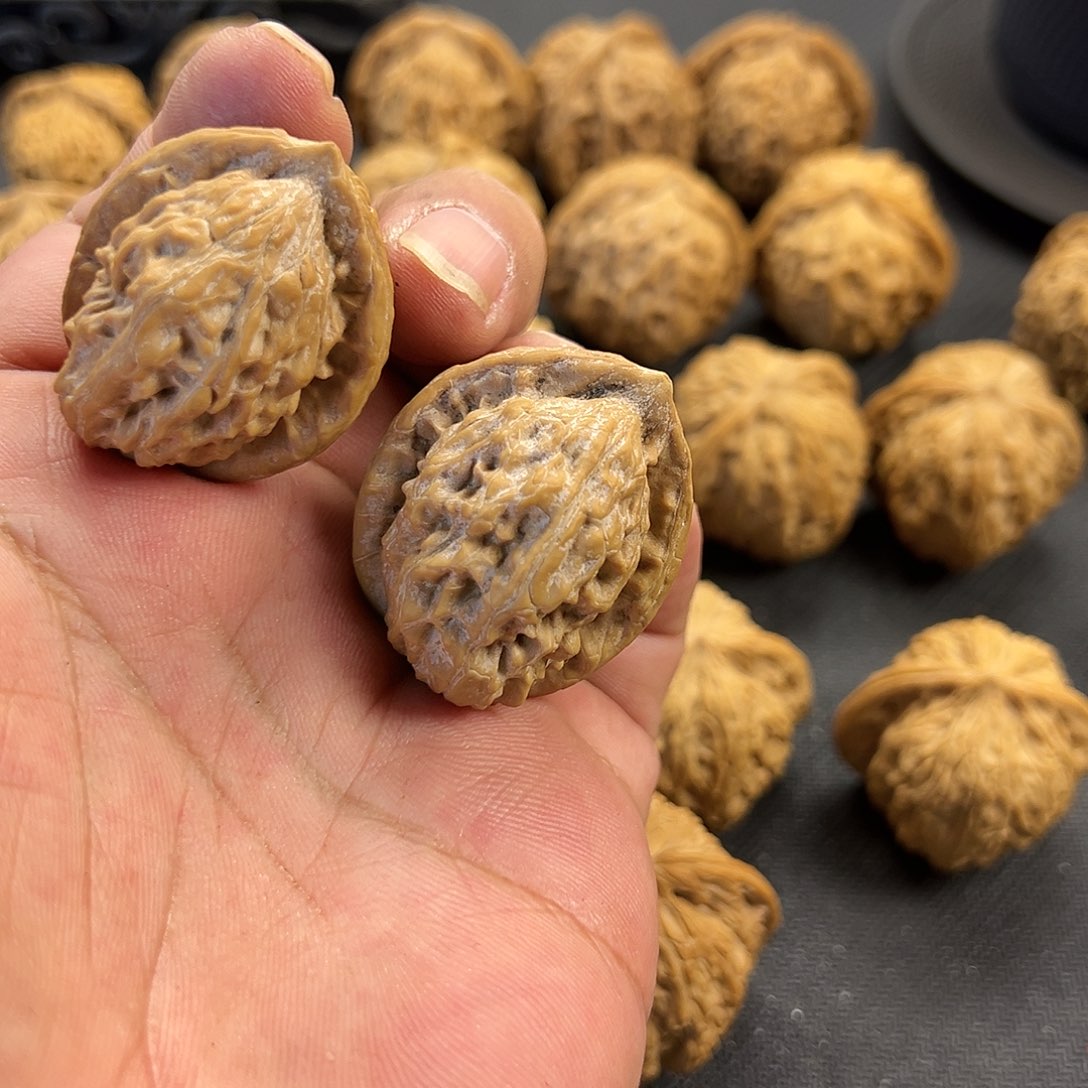 ****愿啊啊啊啊啊啊啊啊