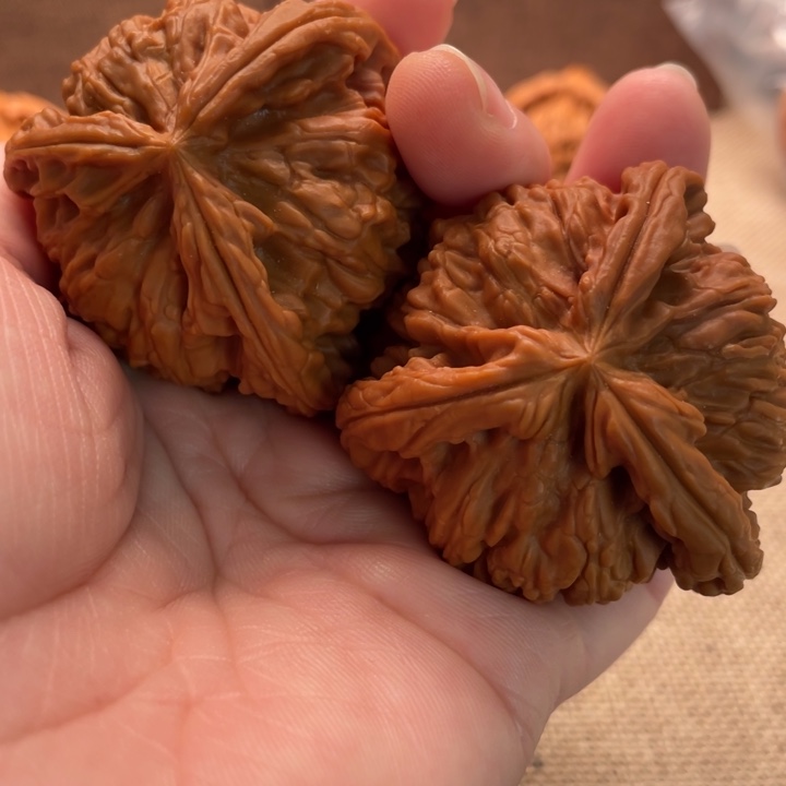 老***梅核桃白狮子45核桃