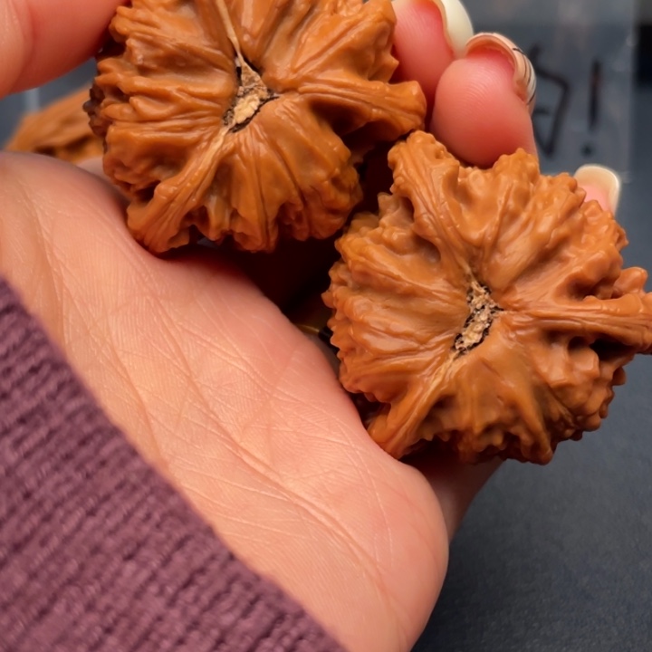 s***k吊坠文玩核桃白狮子