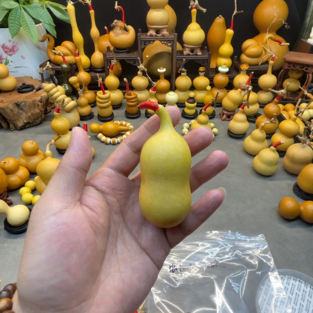 虾****柒寶直播专属福利