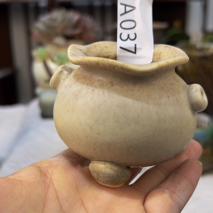 景德镇陶瓷研究所