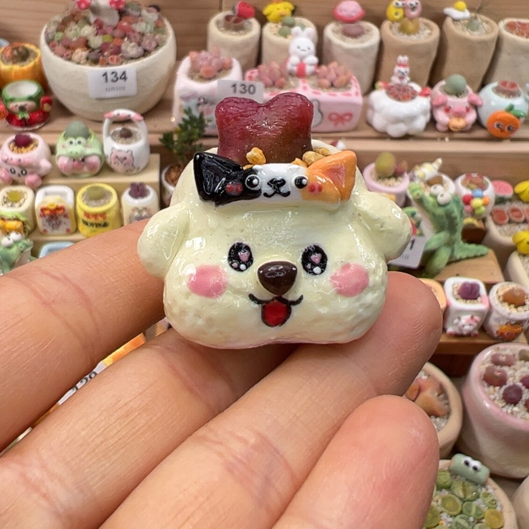 多肉植物135号拇指盆