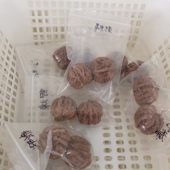 吊坠文玩核桃野蟾
