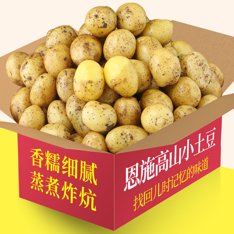 梦三峡湖北高山小土豆整箱包邮黄皮黄心网红新鲜小洋芋马铃薯产地