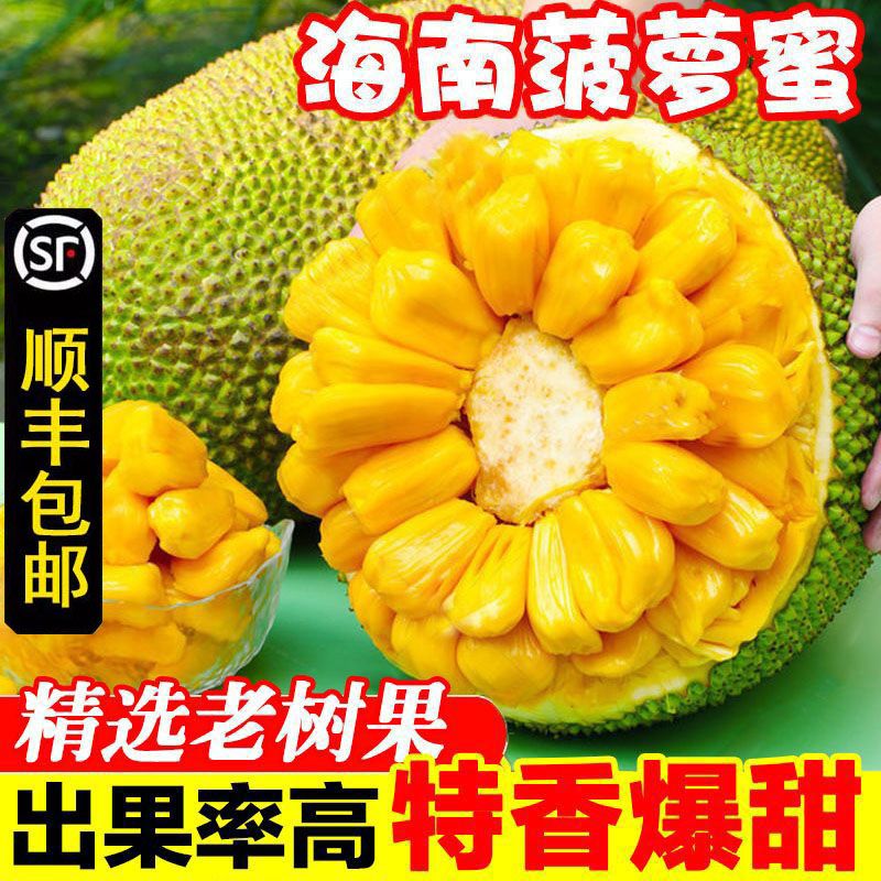 【顺丰包邮】海南三亚菠萝蜜一整个新鲜水果当季现摘木波罗蜜批发