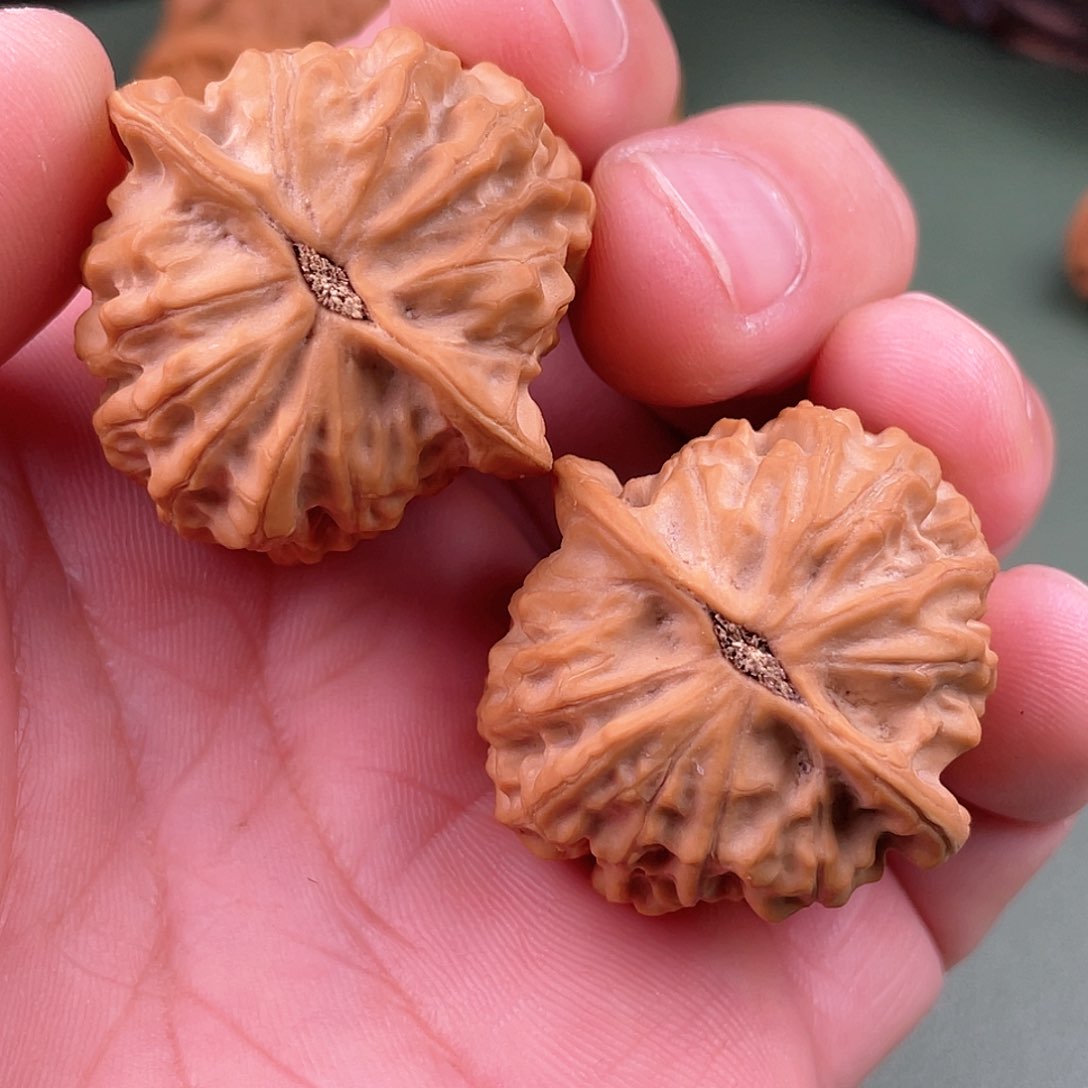 35精品金牛文玩核桃