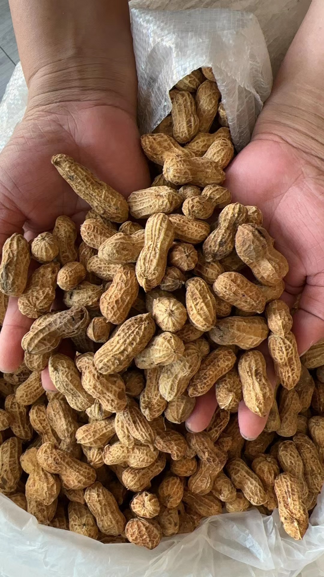 【谍依推荐】农家红泥花生10斤