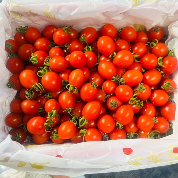 【整箱】玲珑千禧一箱（毛重约2.5斤）千禧圣女果海南省