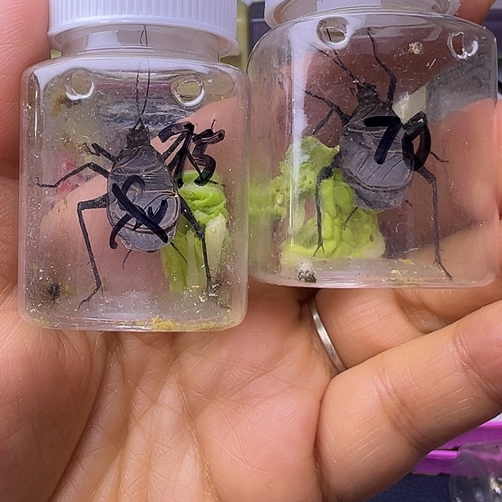 拈***笑哈哈哈哈哈哈哈哈哈哈哈