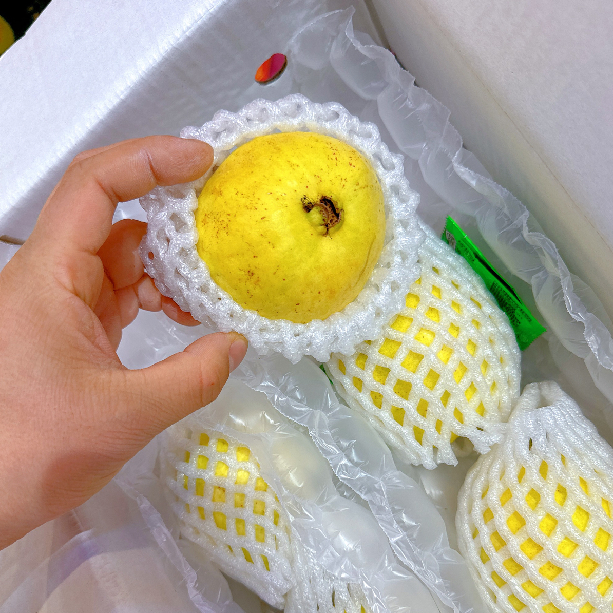 树熟溏心芭乐嘎嘎好吃推荐爆品