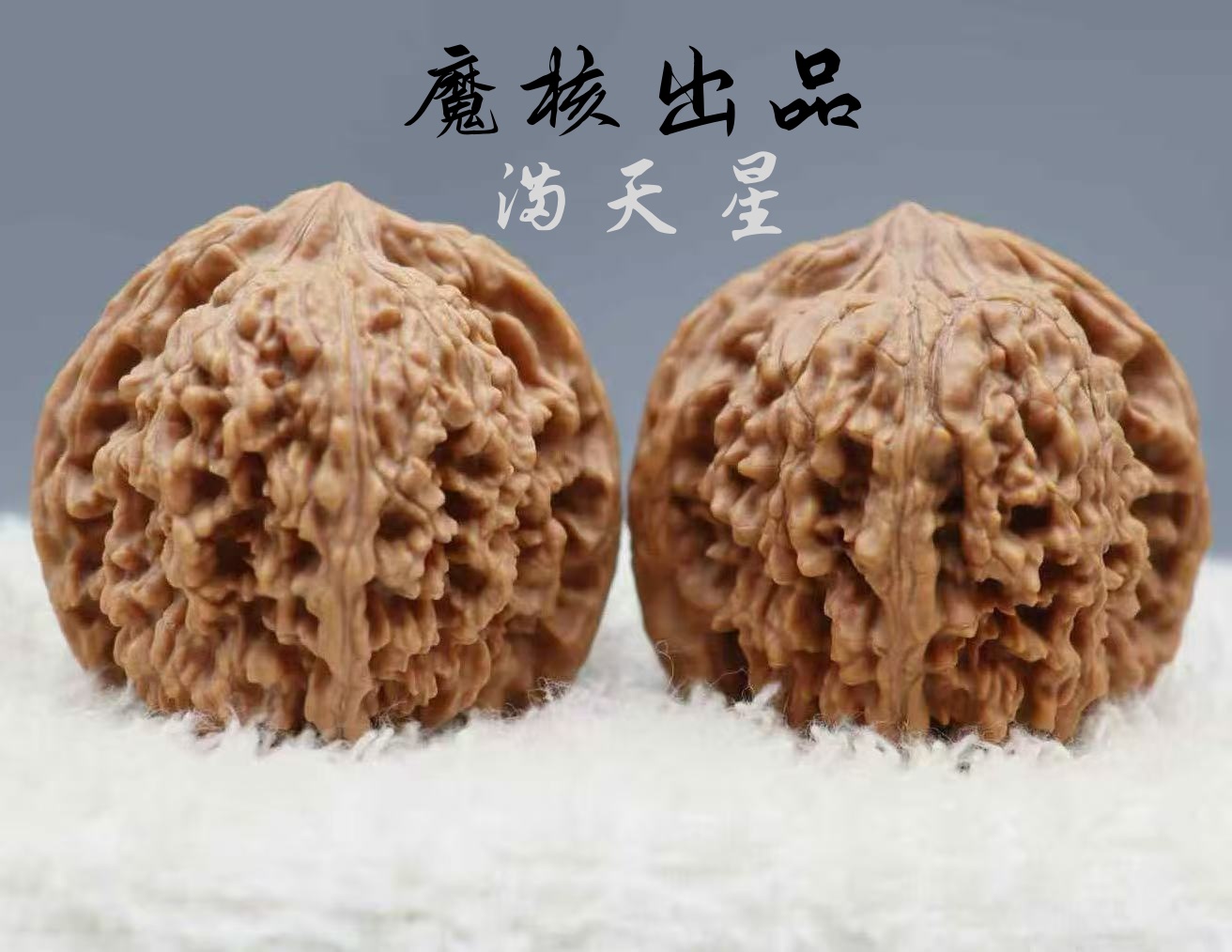【魔核】温柔推荐/百年老树/精品文玩核桃/满天星