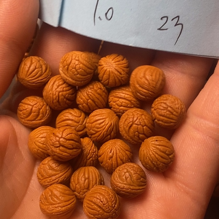 桃核手串陕西国庆桃核