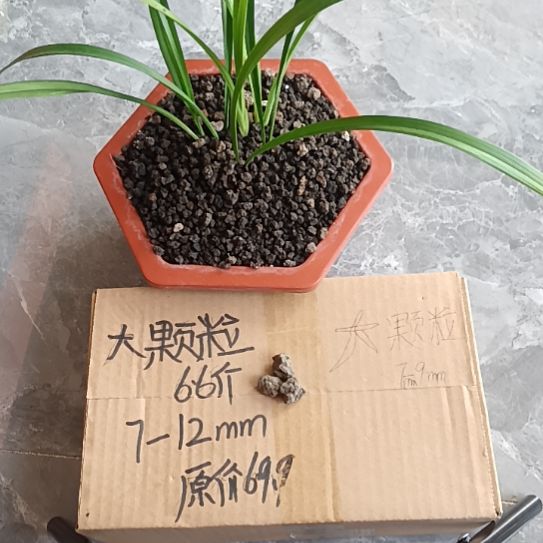 一***你兰菌黑山土大颗粒6.6斤