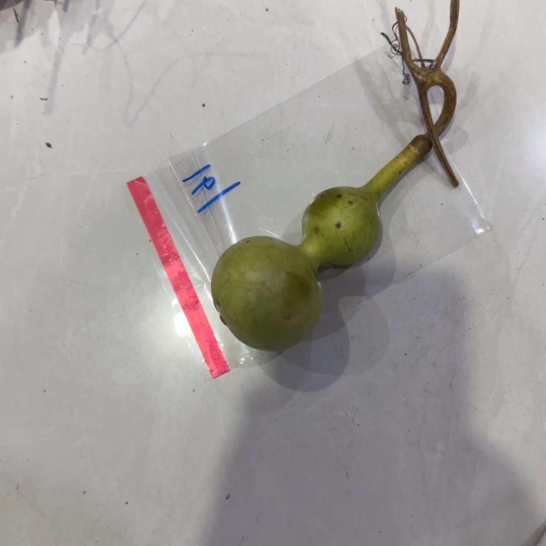 萨***m葫芦咯out了我吐jjmjjttjmm