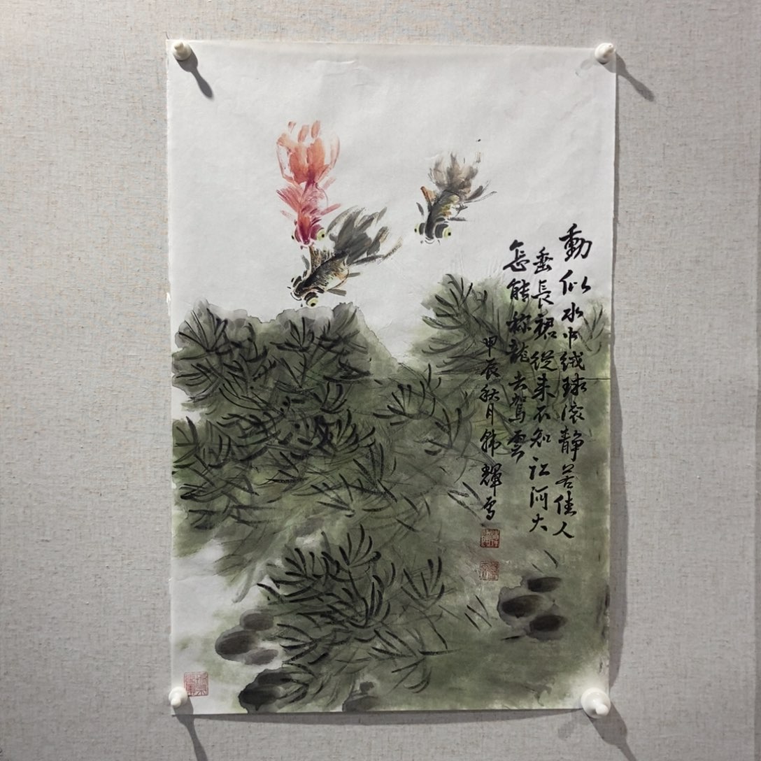 【闪购商品】国画墨鱼精品墨鱼精品