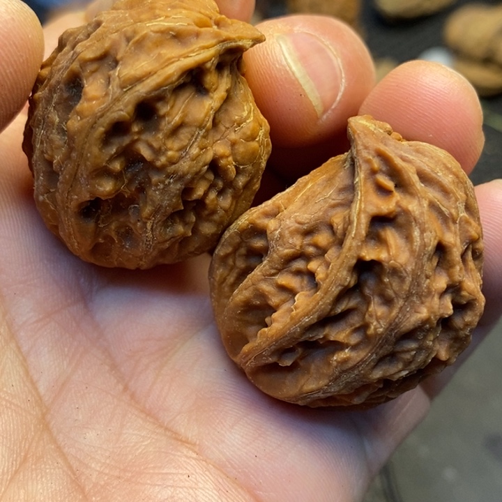 桃核吊坠娜姐真的182