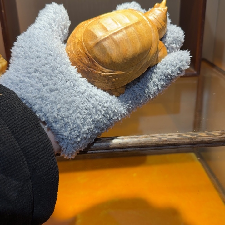 香榧木香港和经济坎坎坷坷看看