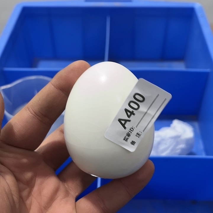 茶具默认微瑕瓷器、茶具、壶、摆件，介意勿拍 