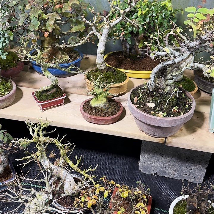 ****韵无花朵1111111111111111