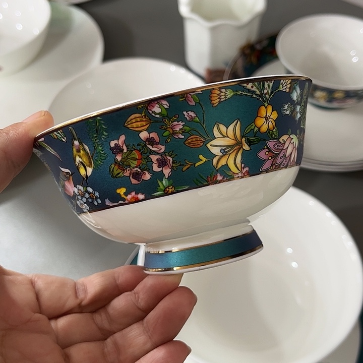 瓷片微瑕骨瓷碗两只装绿野仙踪