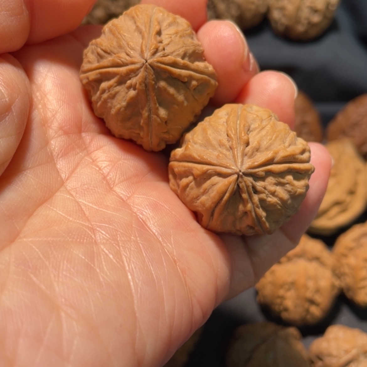 【闪购商品】文玩核桃吊坠东北楸子1